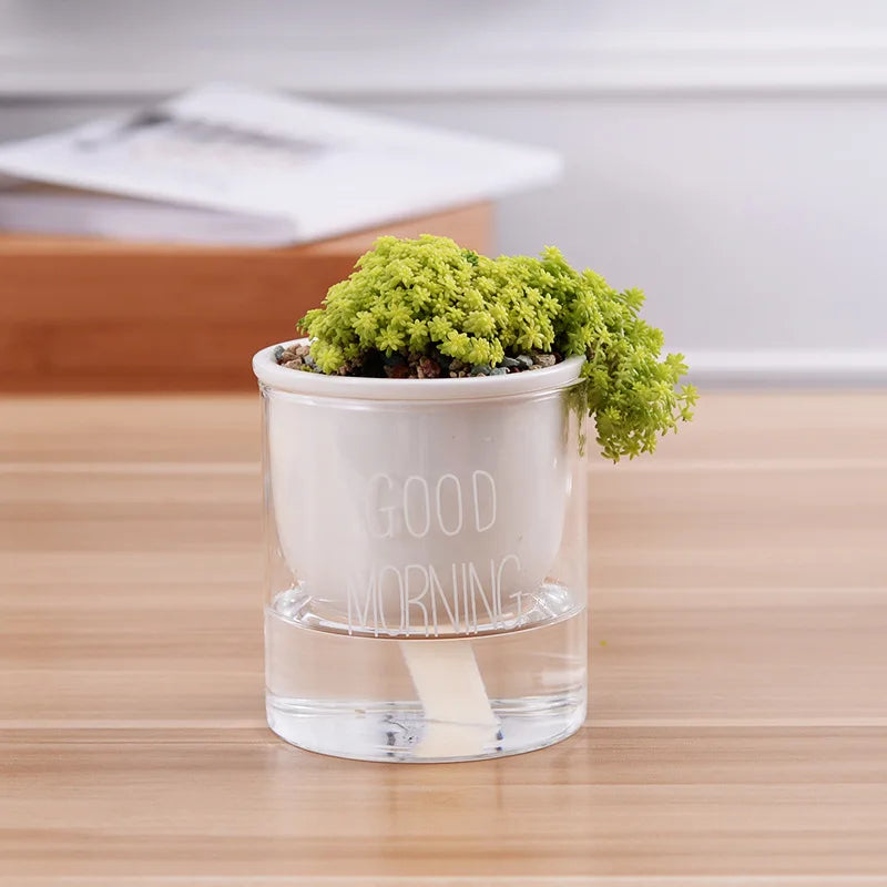 Cache pot verre orchidée